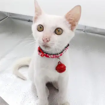 3 Stk Japansk Stil Pet Krave Blomst Trykt Halskæde Kreative Kat Hoved Hals Kæde Med Sikkerhed Spænde Klokker Til Kat Hund images