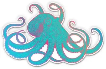 Blæksprutte, Smuk Farve - 5