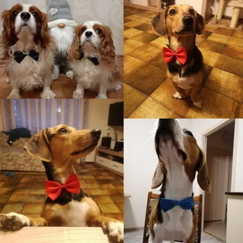 Jul Hund, Kat Halskæde Med Justerbar Strop For Kat Halsbånd Hunde Grooming-Tilbehør Selskabsdyr Hvalp Hund Bow Tie Dog Pet Supplies images